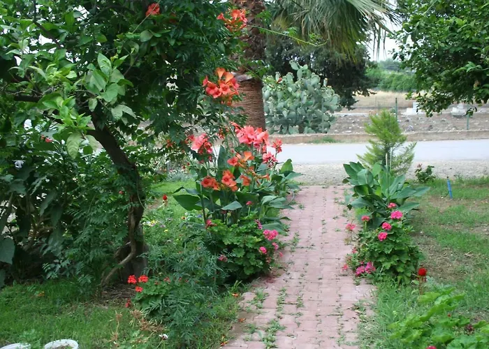 Naz Apartlari Cirali