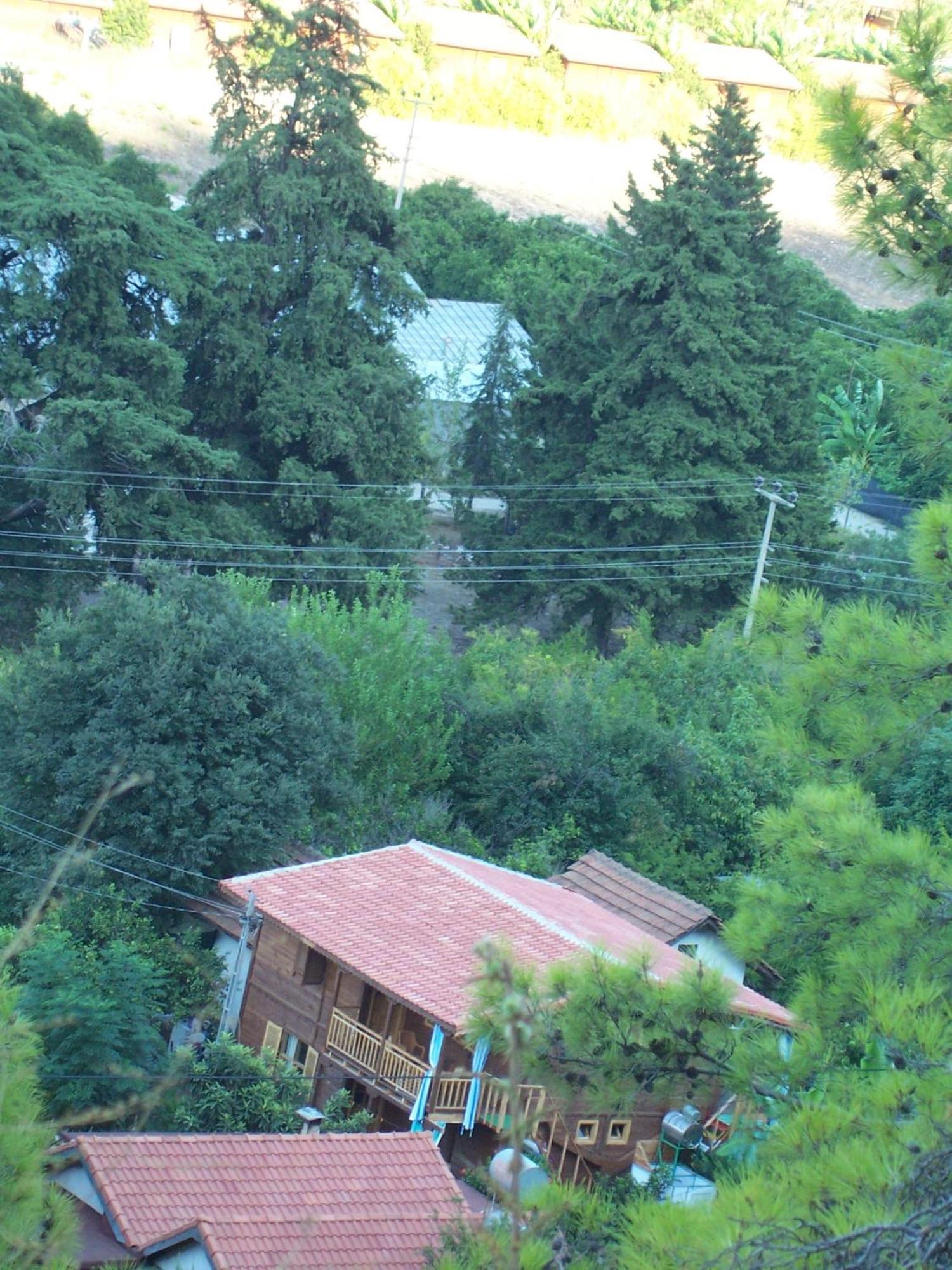 Naz Apartlari Apartment *