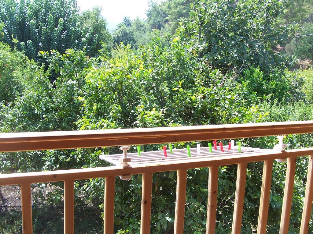 Naz Apartlari * Cirali