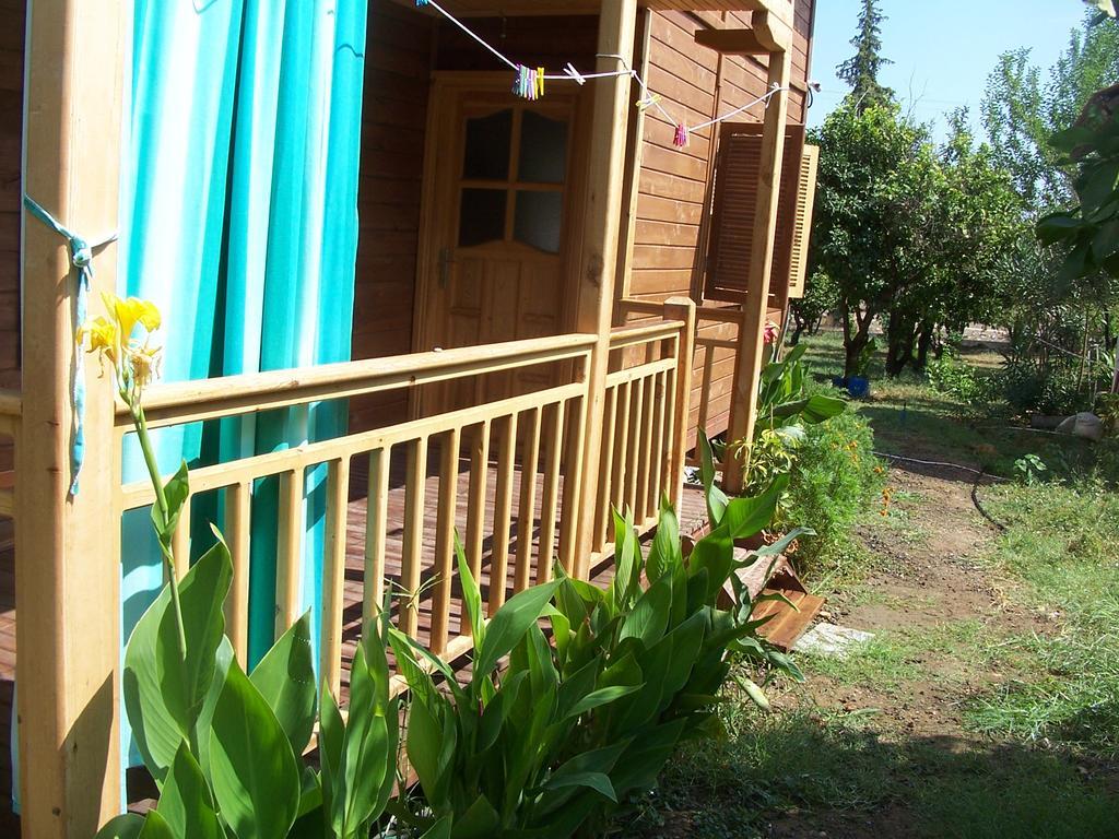 Apartment Naz Apartlari