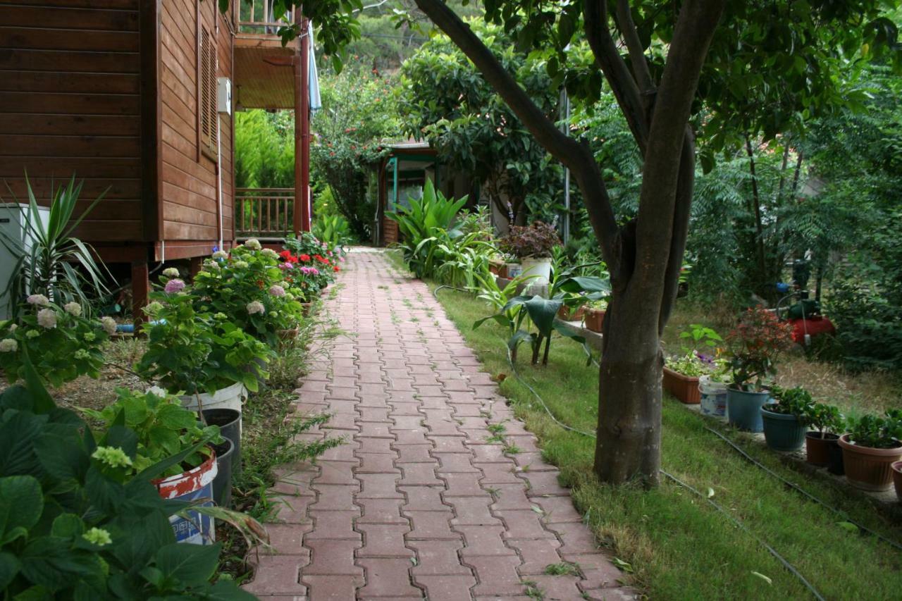Naz Apartlari Apartment Cirali