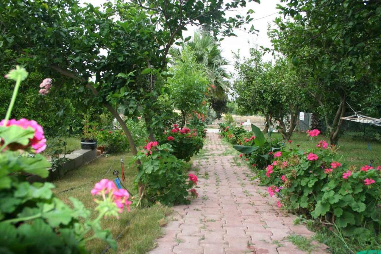 Naz Apartlari Apartment *