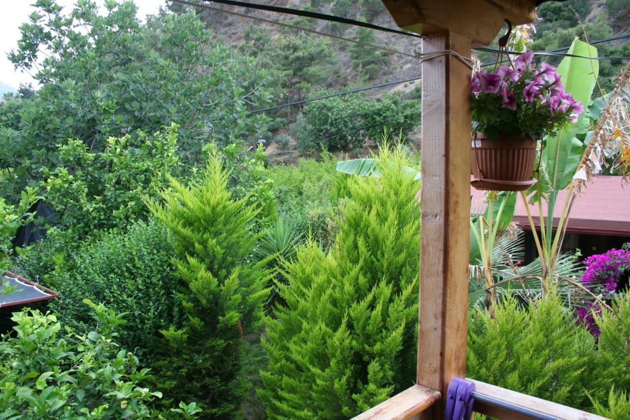 Naz Apartlari