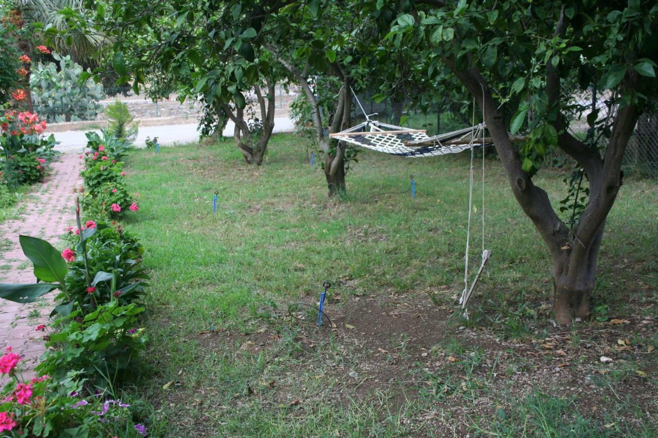Naz Apartlari